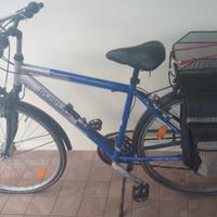 Bicicletta Citybike con borse laterali+portapacchi