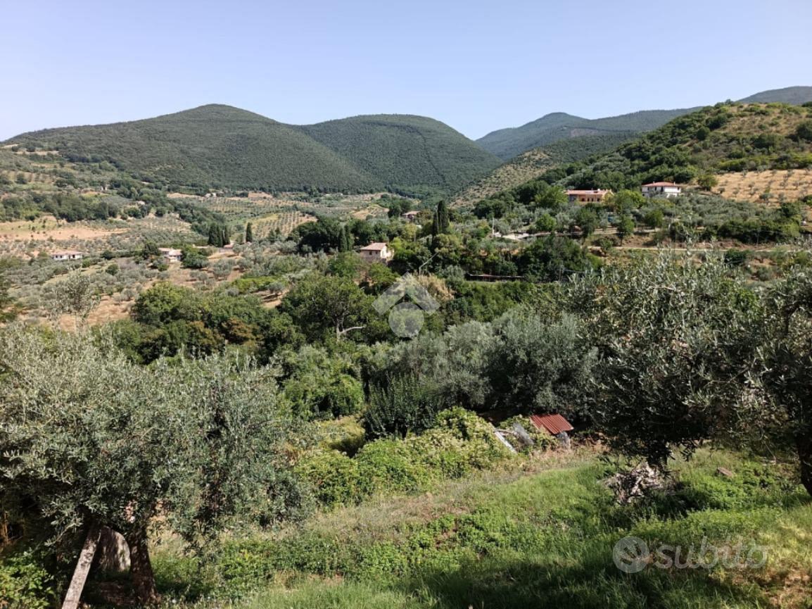 TER. AGRICOLO A POGGIO MIRTETO - Altro