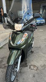 Sh 300 2010