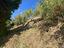 Immagine 13