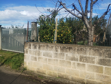 Rustico contrada fieo