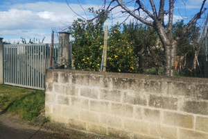 Rustico contrada fieo