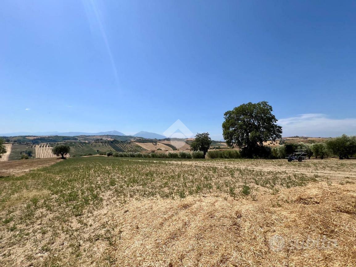 TER. AGRICOLO A MOSCIANO SANT'ANGELO - Vista 3