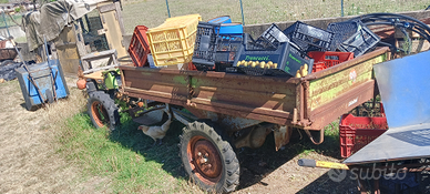 Motocoltivatore grillo