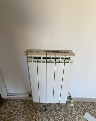 Termosifoni alluminio