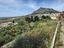 Immagine 11
