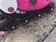 Immagine 3
