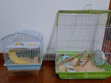 Criceti gabbia