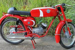 BM 50 Sport 4v