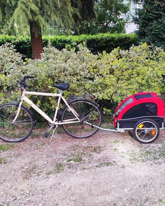 kit con bici e trasportino 