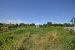 TER. AGRICOLO A SAN DONÀ DI PIAVE