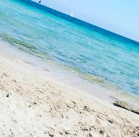 LAST MINUTE:casa in Salento disponib.dal 3 al 9/08