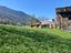 Immagine 9