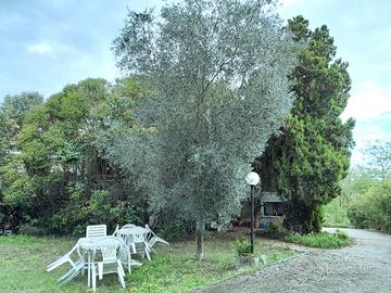 Villino Singolo Nel Verde A 15 Minuti Dal Centro
