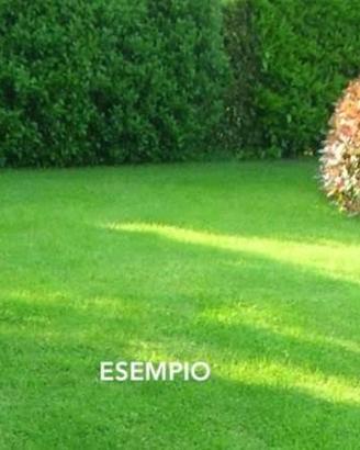 Terreno di 830 m² a Castelnuovo Rangone