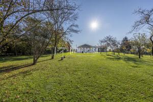SPLENDIDA VILLA SINGOLA IMMERSA NEL VERDE