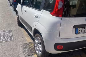 Panda metano