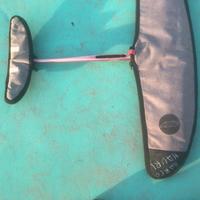 Pinna  wing foil Axis