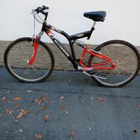 Bicicletta mountain bike  professionale per uomo