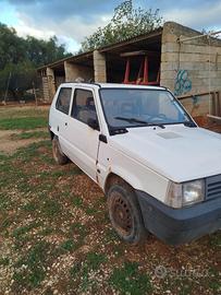 Fiat panda young