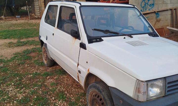 Fiat panda young