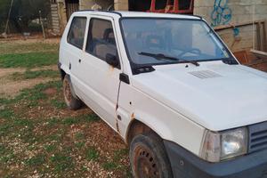 Fiat panda young