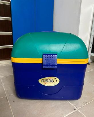 Frigorifero Portatile Auto Evercool 12V (Caldo/Fre
