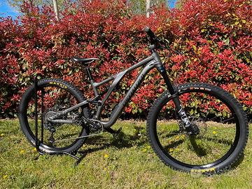 Specialized Stumpjumper Evo Comp Alloy