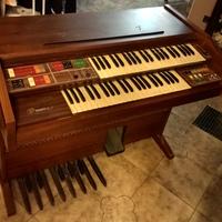 organo