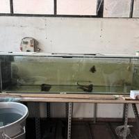 Acquario 500 litri