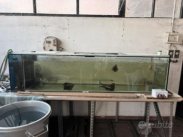 Acquario 500 litri