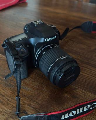 CANON 80 D + 18 - 55 mm + 50 mm 1.8
