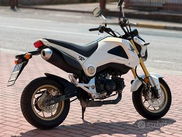 Honda msx 125 piccola