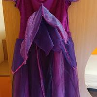 Vestito carnevale Disney fata VIDIA