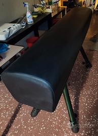 Cavallo ginnastica artistica volteggio s/maniglie