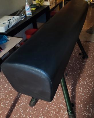 Cavallo ginnastica artistica volteggio s/maniglie