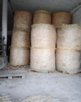 Fieno