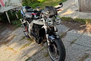 Triumph Speed triple 955i "culobello"