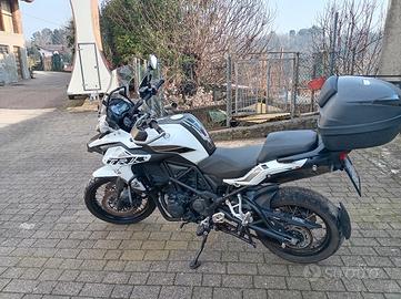 benelli trk 502 