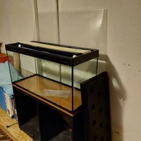 Acquario