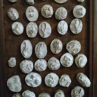 Campionario di gioielli per oreficeria 