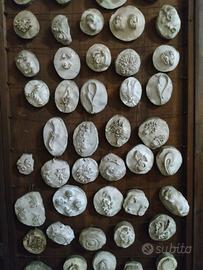 Campionario di gioielli per oreficeria 