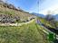 Immagine 10