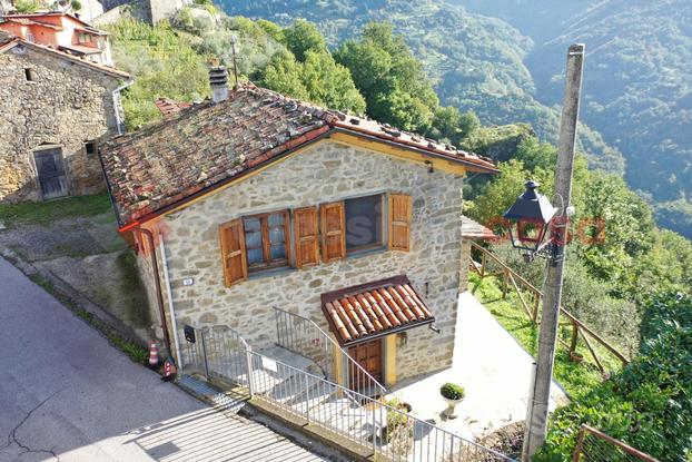 Rustico/Casale/Corte Castelnuovo di Garfagnana