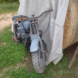 guzzi Ercole 