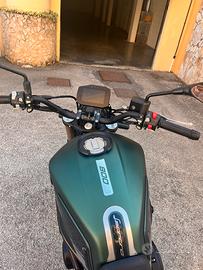 Benelli Leoncino 800 ABS 2022