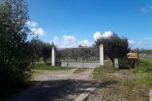 2 ettari piantumati su strada statale