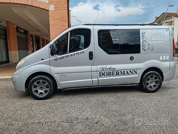 Nissan primastar trasporto cani 