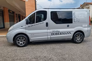 Nissan primastar trasporto cani 