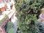 Immagine 25